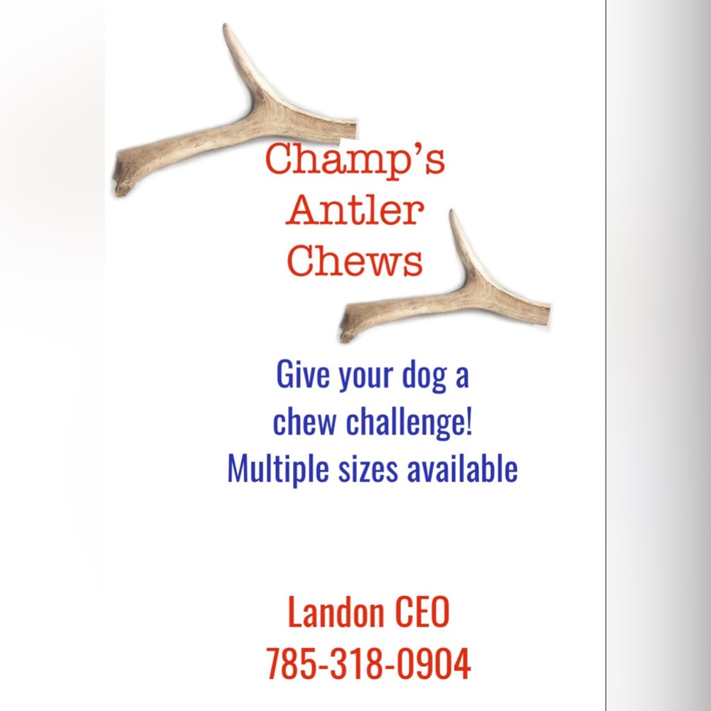 Local whitetail shed antlers!  Multiple sizes available!